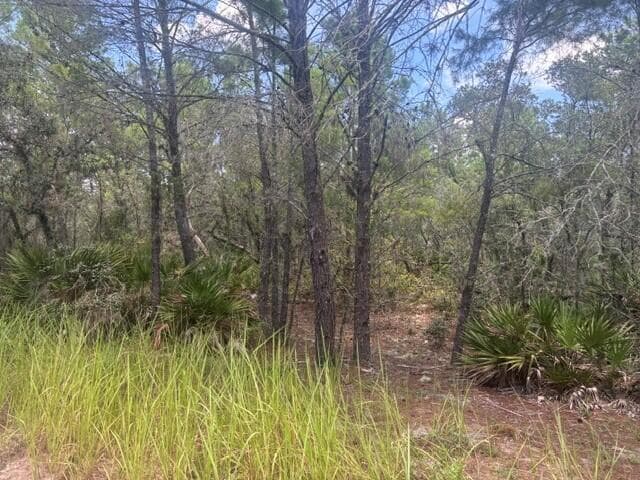 0 Us Hwy 27, Lake Wales FL 33859