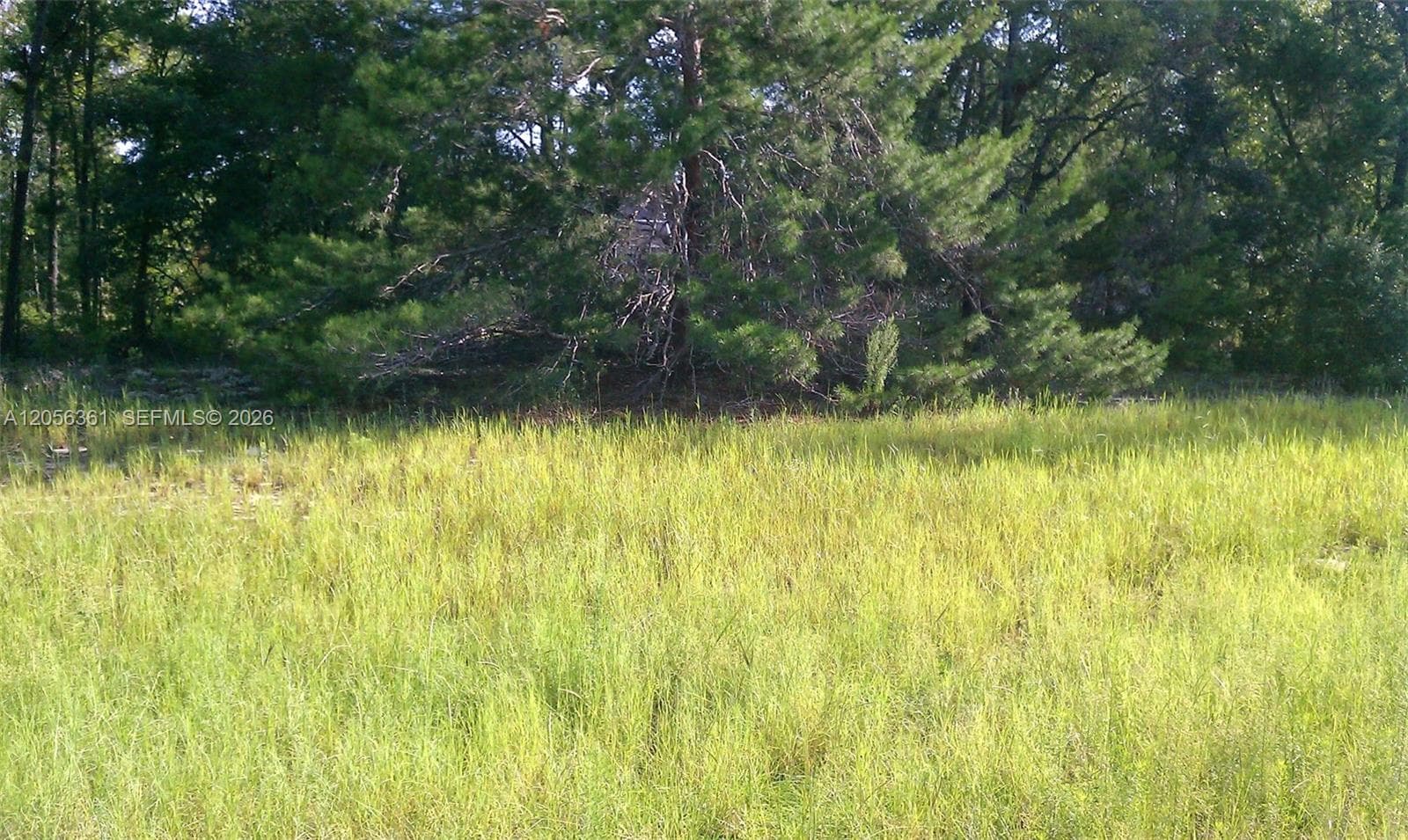 0 0, Ocala FL 34471