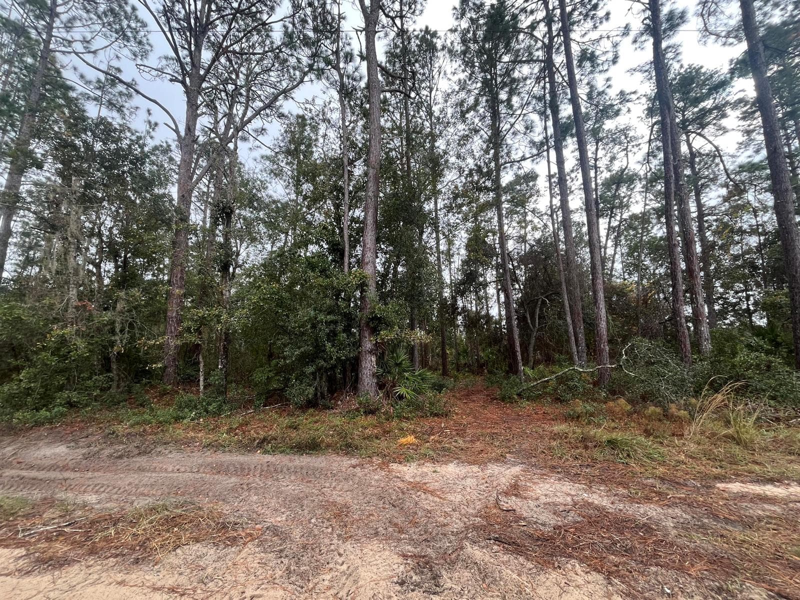 Tbd susan Street, FL 32148