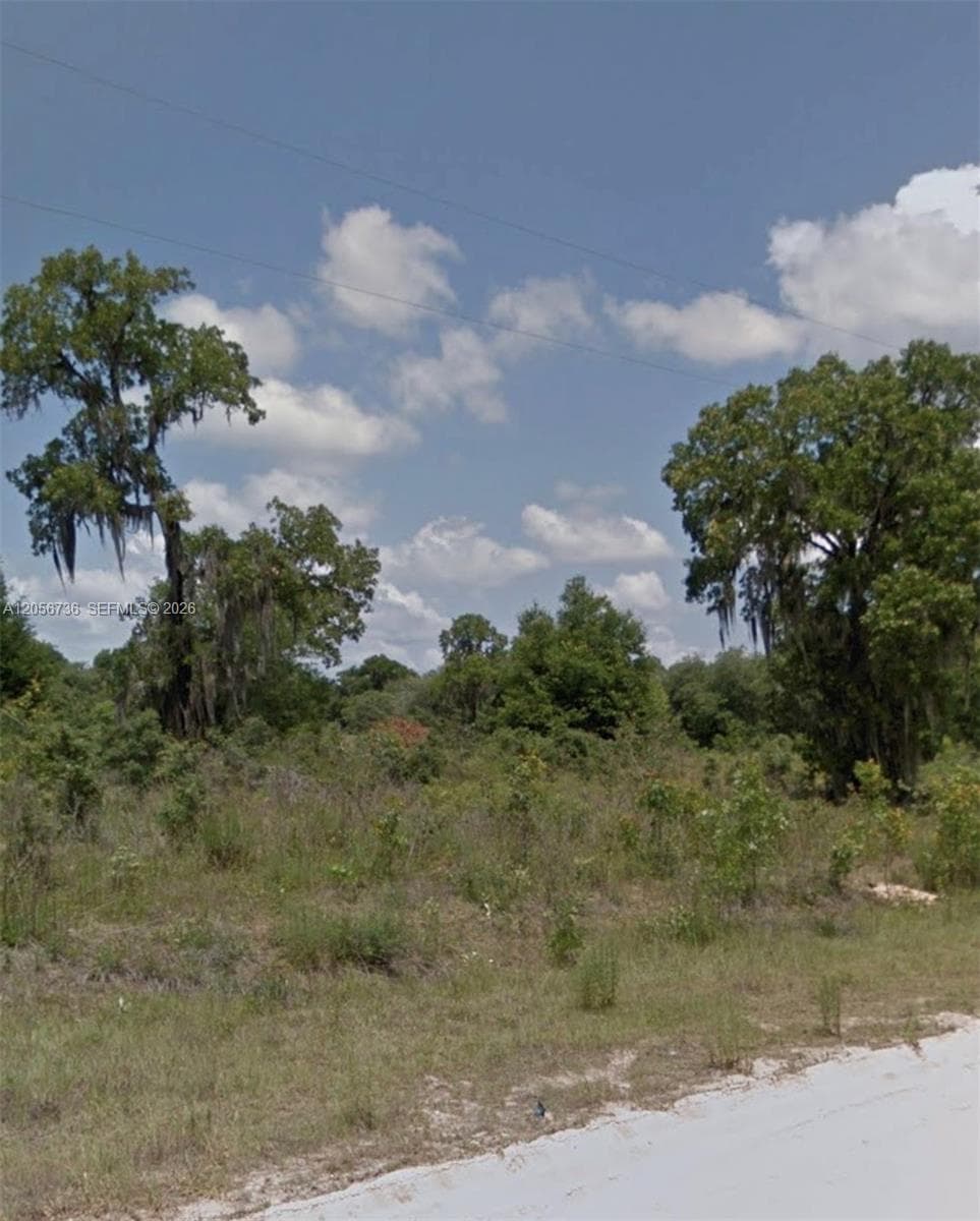 653 COUSINTOWN RD, Other City - In The State Of Florida FL 32148