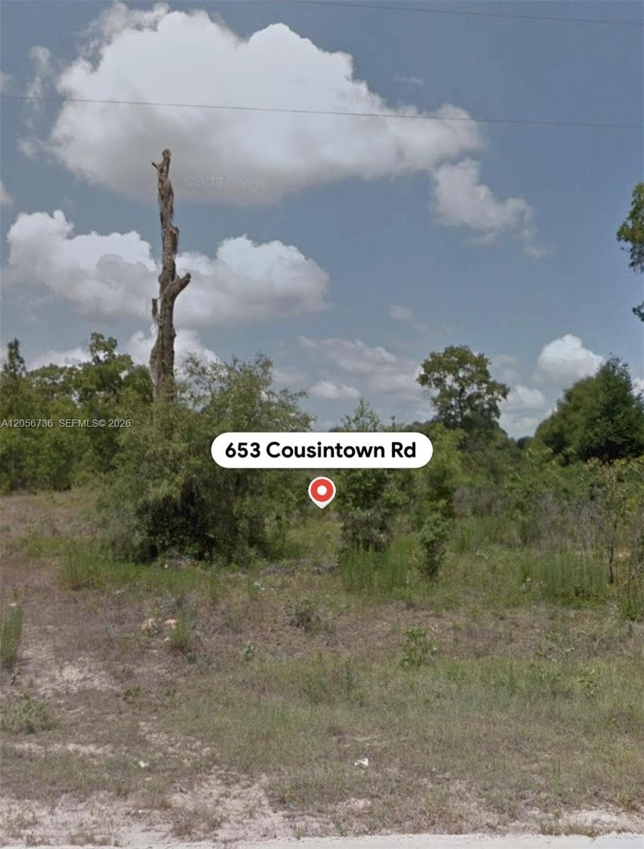 653 COUSINTOWN RD, Other City - In The State Of Florida FL 32148