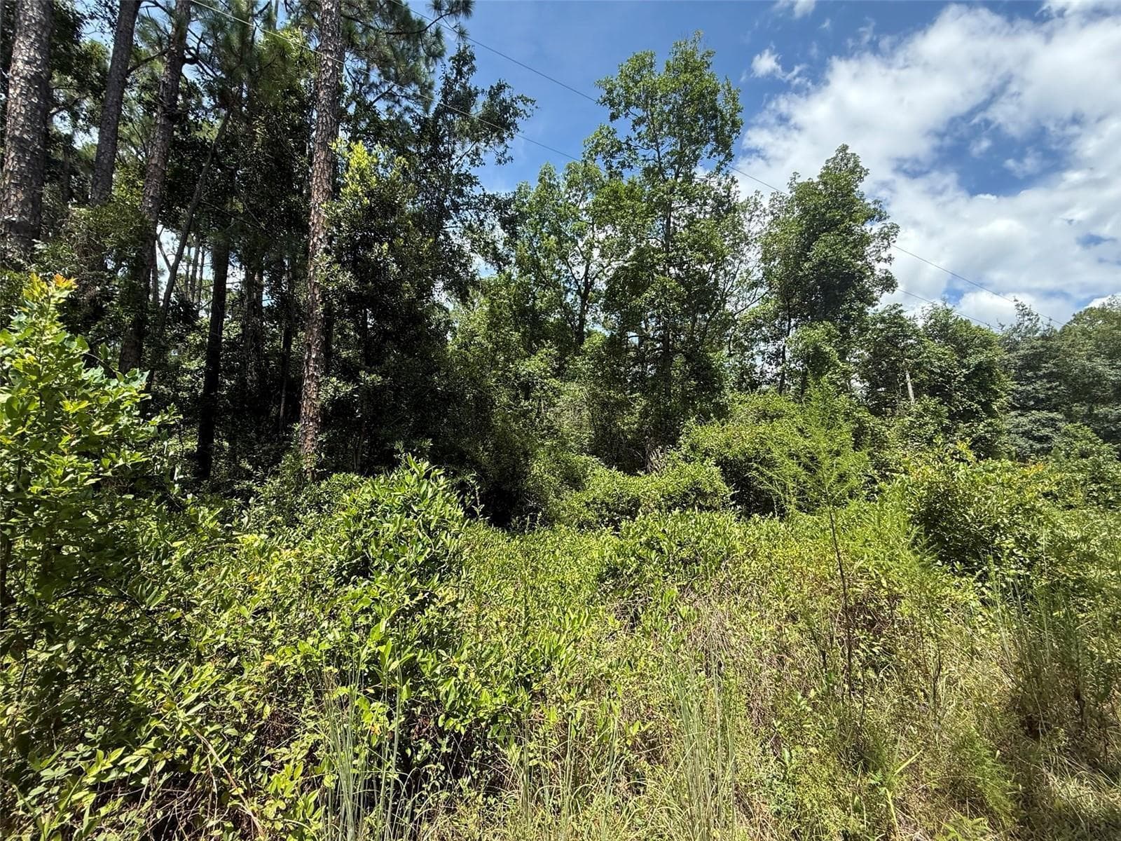 313 CALHOUN Avenue, FL 32140