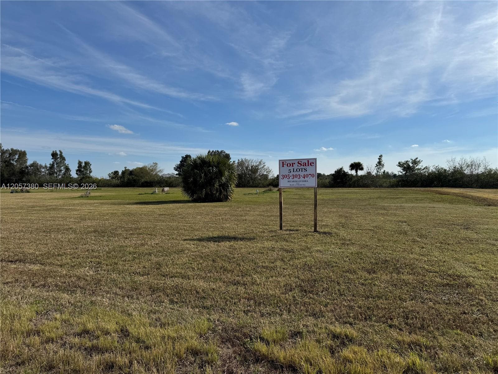 987 Watson Way, Moore Haven FL 33471