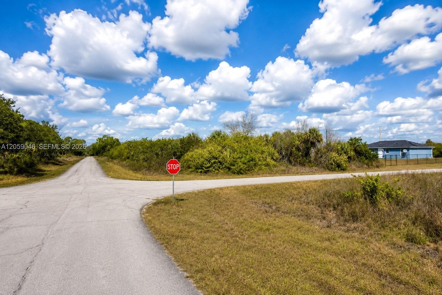 101 HOLLAND DR, La Belle FL 33935
