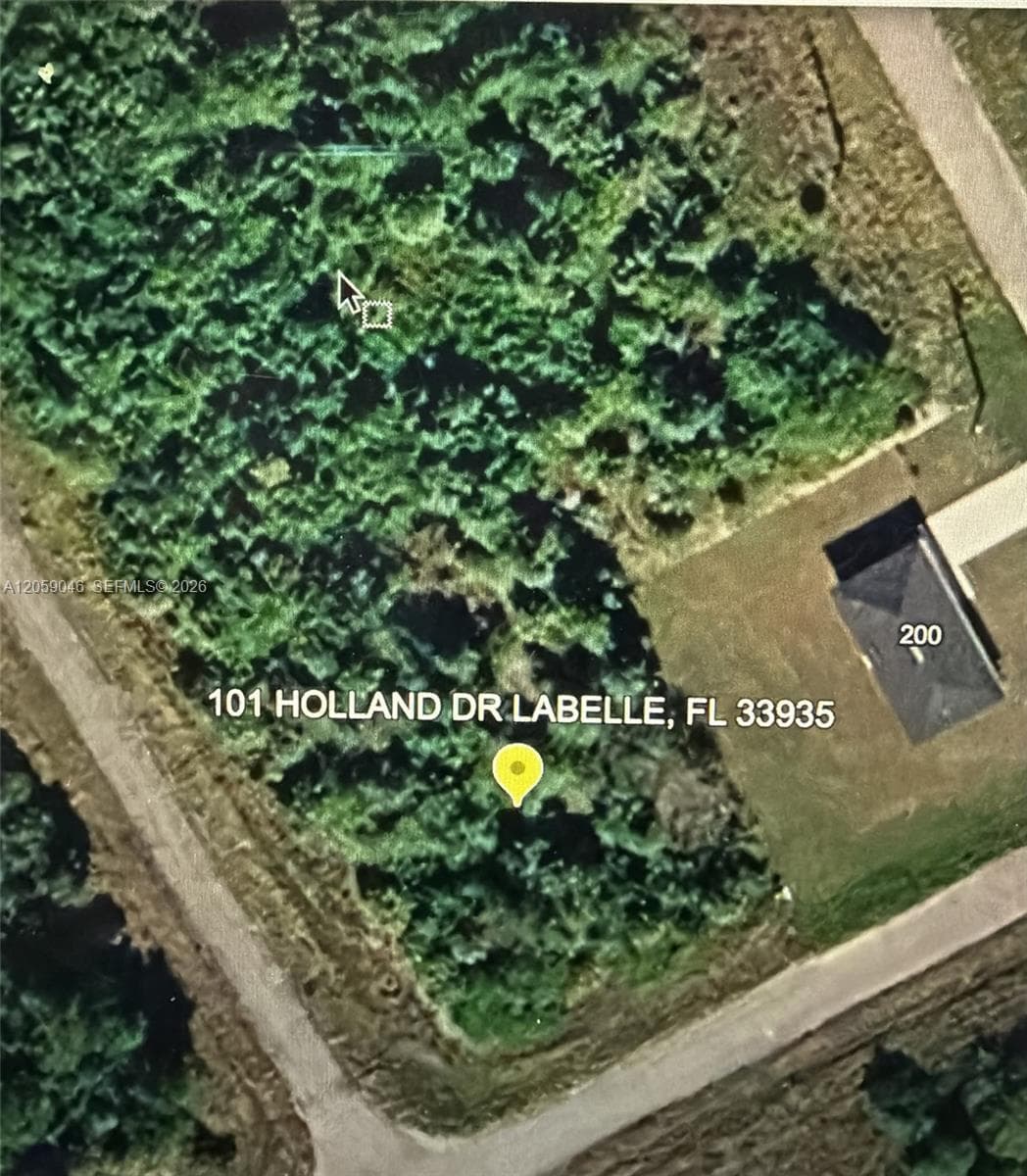 101 HOLLAND DR, La Belle FL 33935