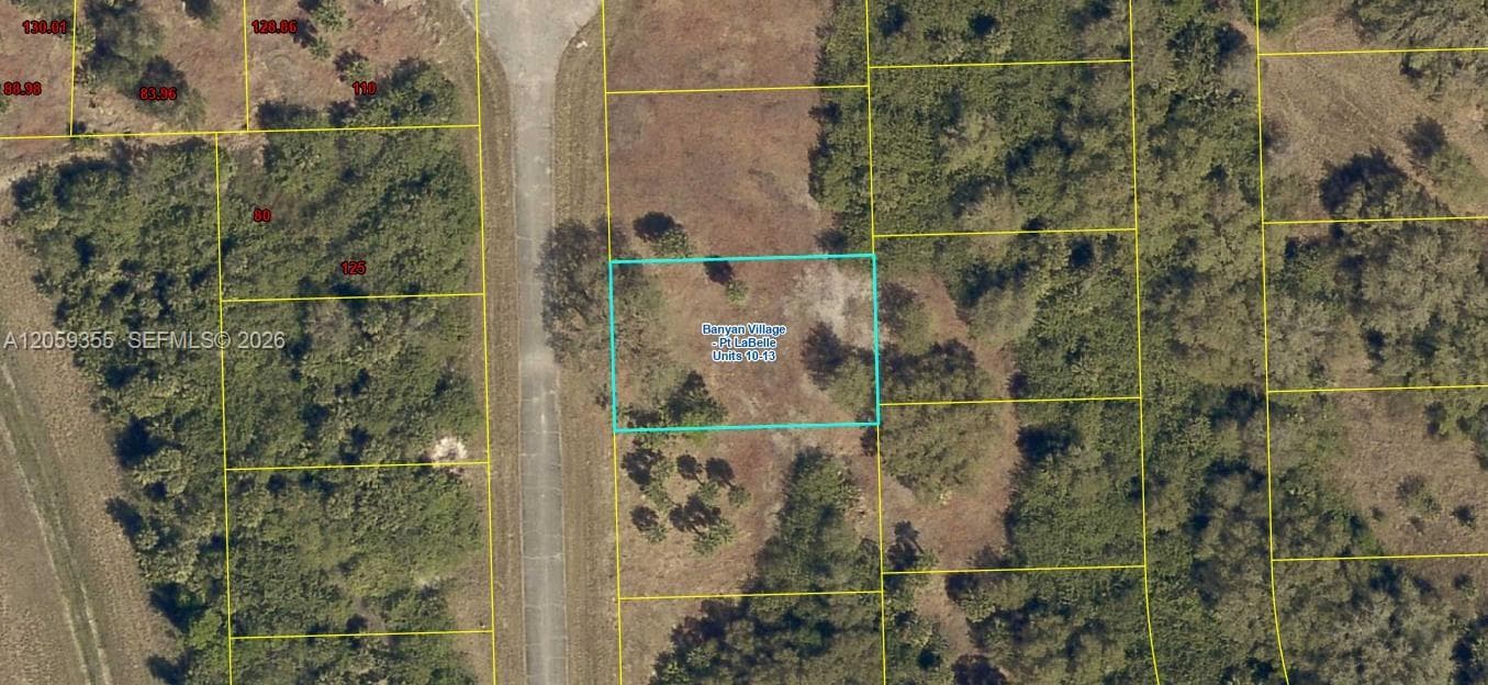 621 Trumpet Dr, La Belle FL 33935