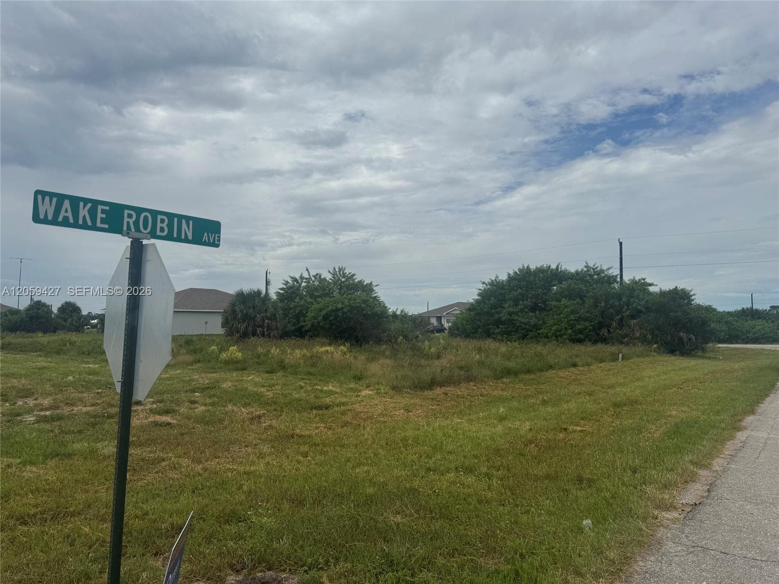 501 Ella Jean Pl, La Belle FL 33935