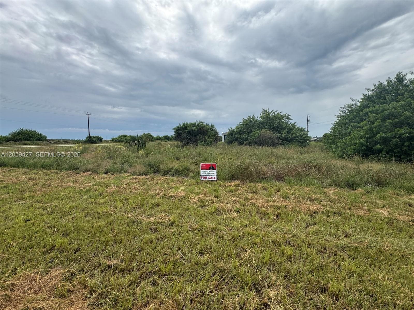 501 Ella Jean Pl, La Belle FL 33935