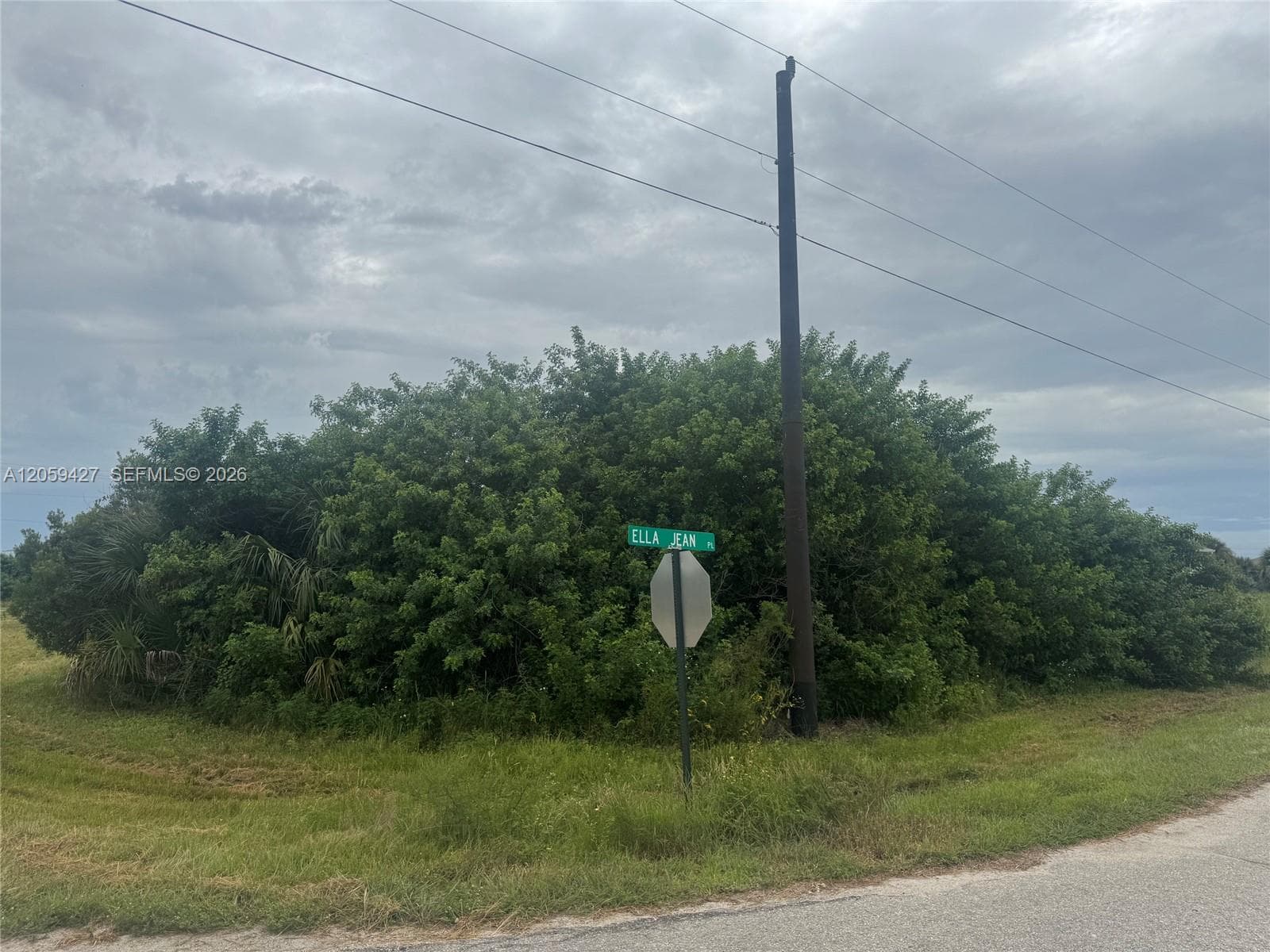 501 Ella Jean Pl, La Belle FL 33935
