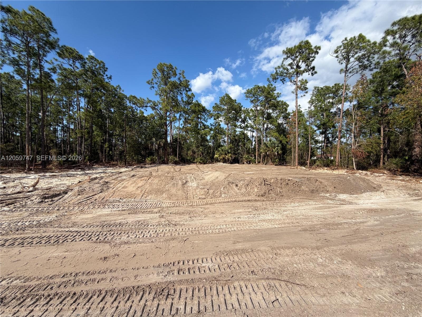 1305 E E 11 St, Lehigh Acres FL 33972