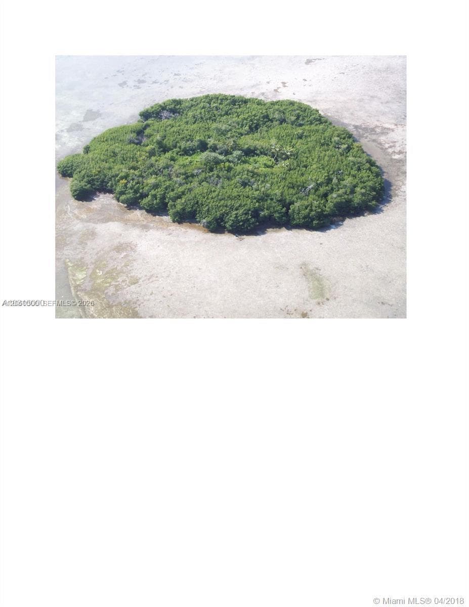 99 Don Quixote Key Big Pine Key, Big Pine FL 33043