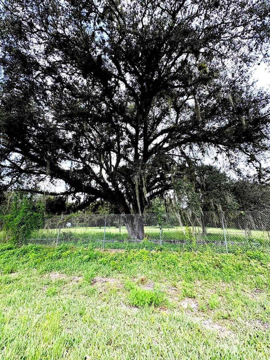 450 S JINETE Street, Clewiston FL 33440