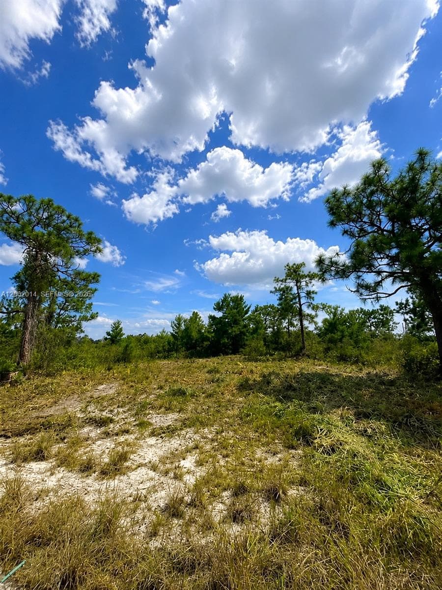 3554 MARIANA AVE, Lake Placid FL 33852