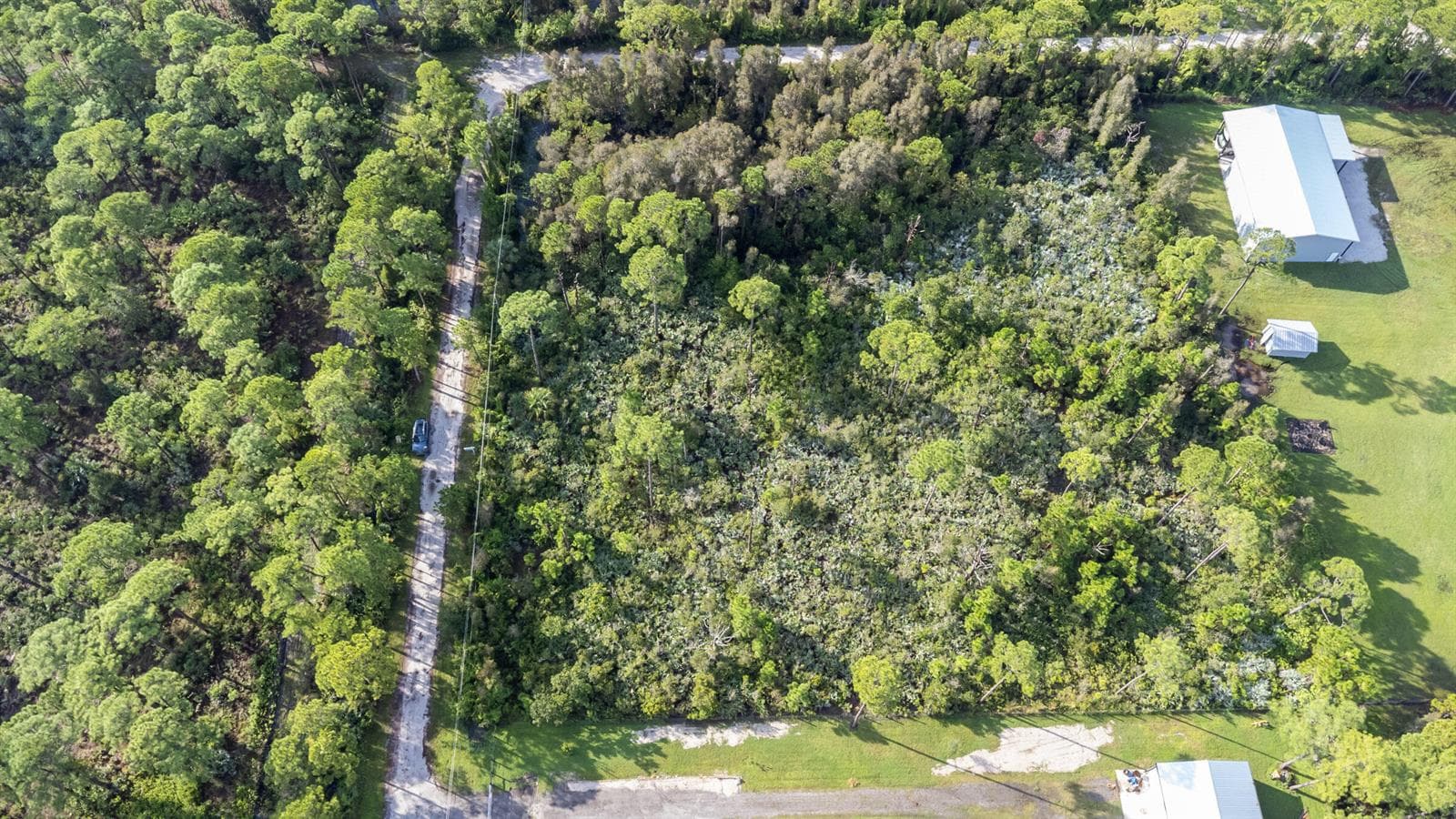 Bald Cypres Trail Fort Pierce -0251