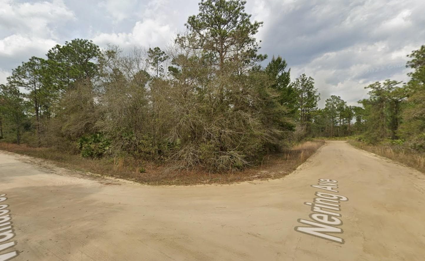 Tbd Wallace Street, FL 32148