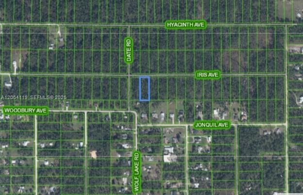1141 Iris Ave, Sebring FL 33875