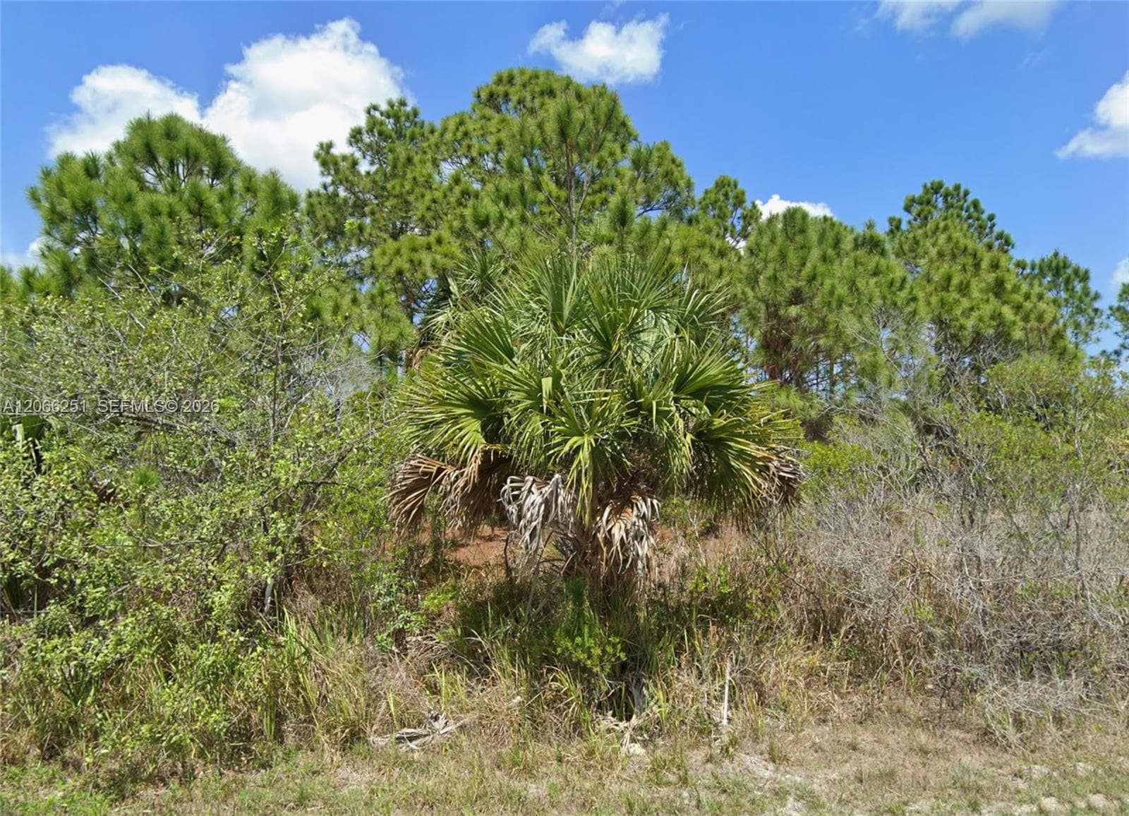 740 SW Opal, Palm Bay FL 32908