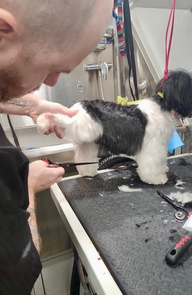 Mobile Pet Grooming, Miami FL 33134