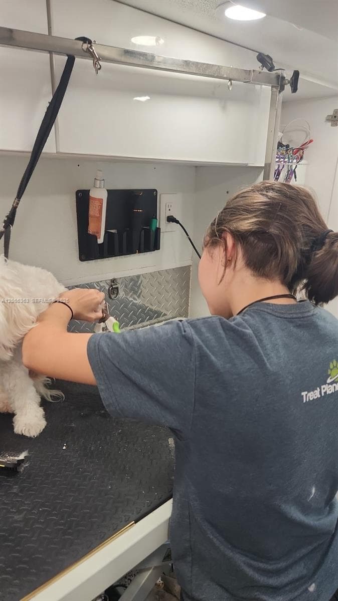 Mobile Pet Grooming, Miami FL 33134