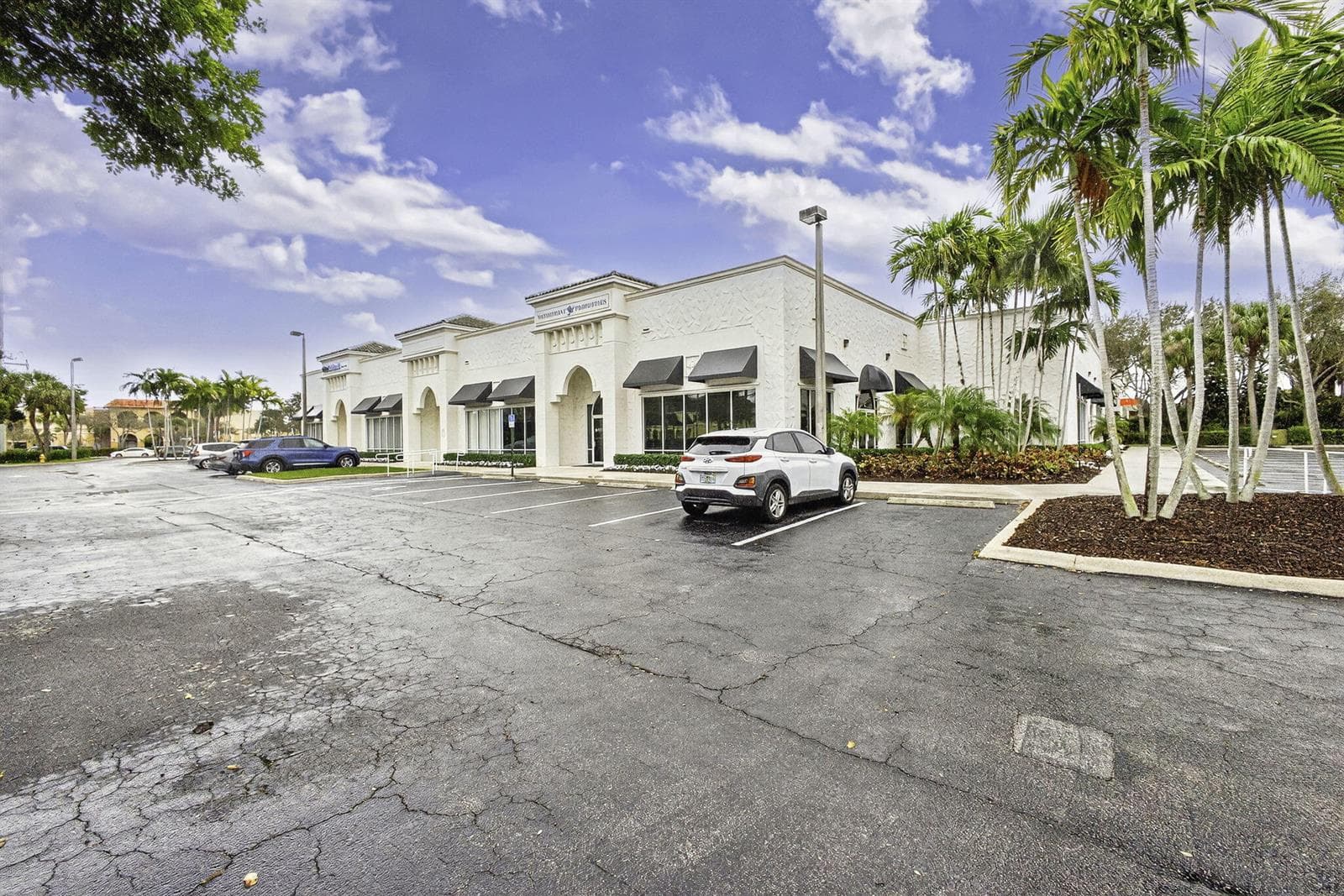 31-web-or-mls-5D1A5303