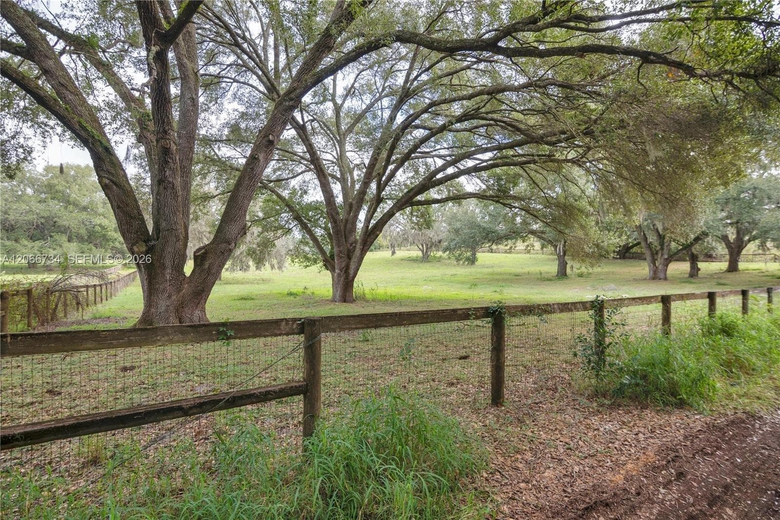 0 LAKE ELLA RD, Other City - In The State Of Florida FL 34731