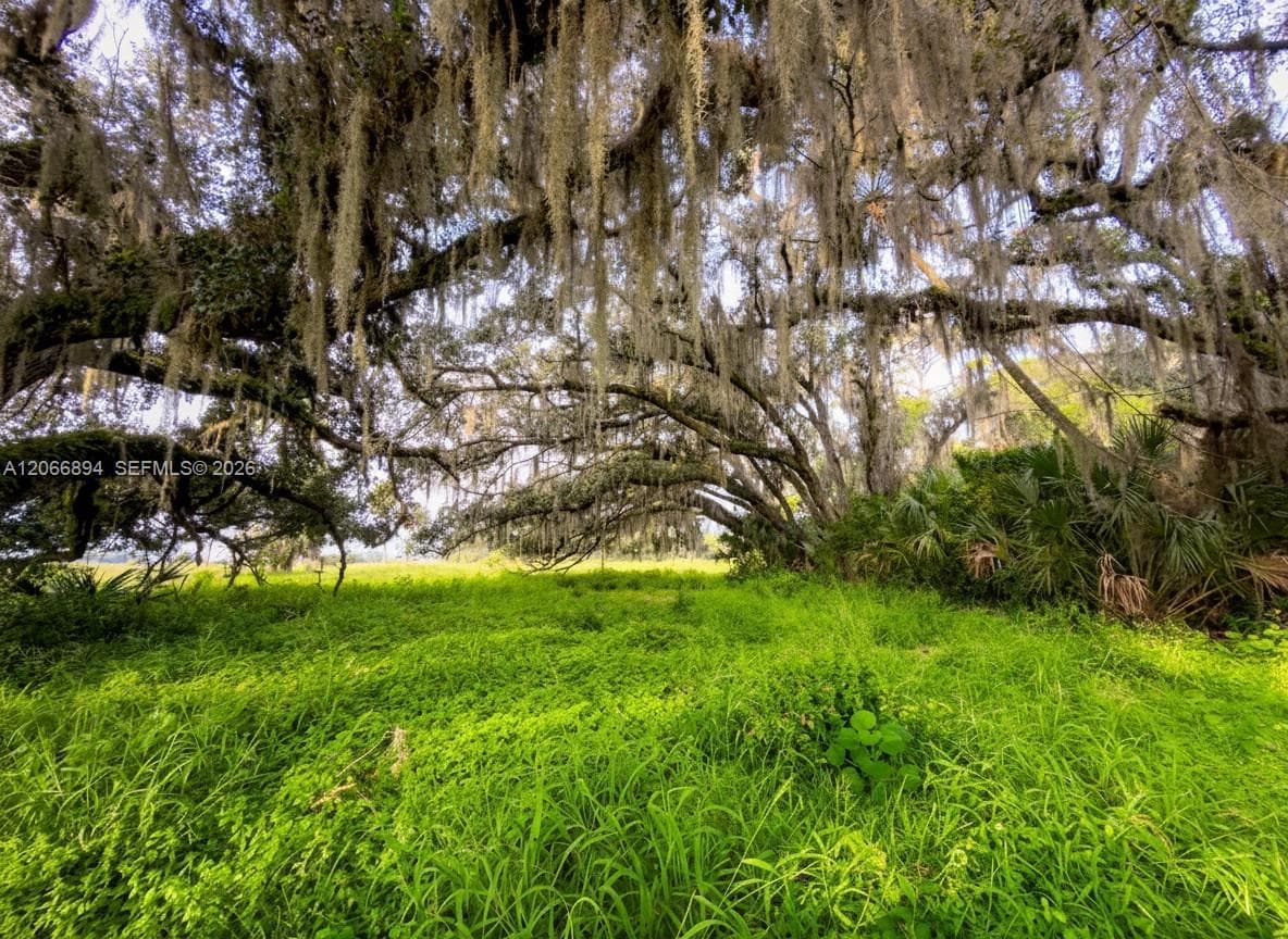 3291 Fort Denaud Rd, LaBelle FL 33935