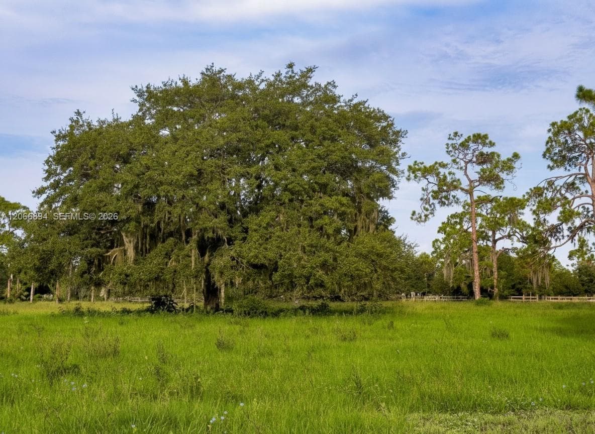 3291 Fort Denaud Rd, LaBelle FL 33935