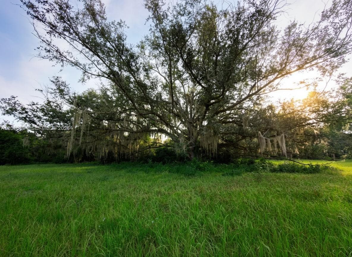 3291 Fort Denaud Rd, LaBelle FL 33935