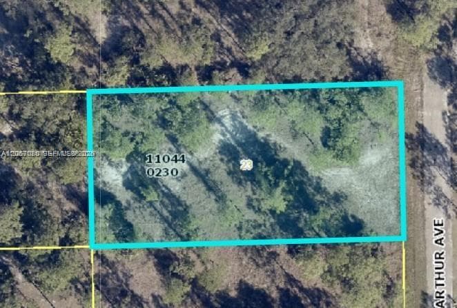 2321 Macarthur Ave, Lehigh Acres FL 33920