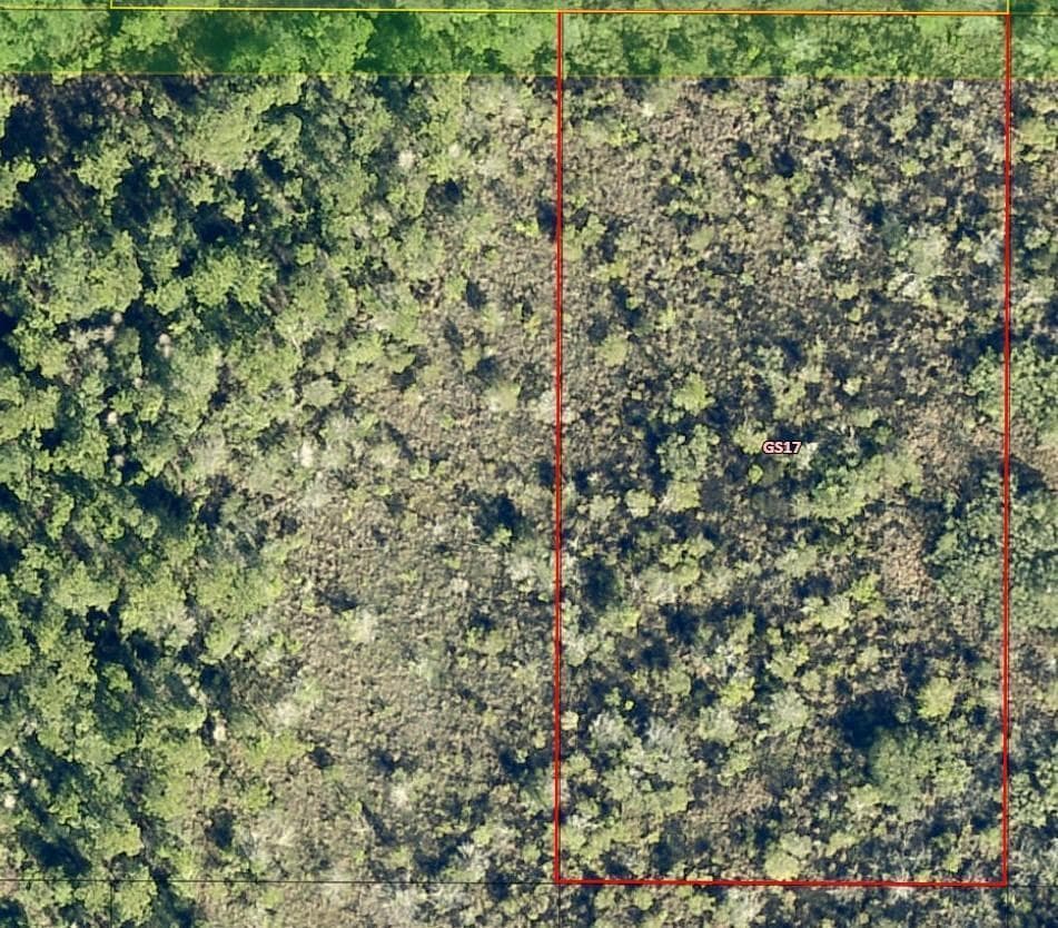0 Salyers Road, FL 34736