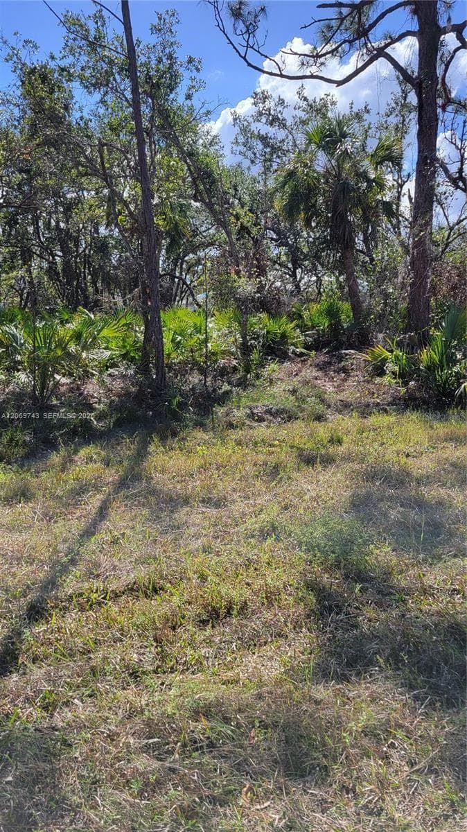 14165 chamberlain, Port Charlotte FL 33953
