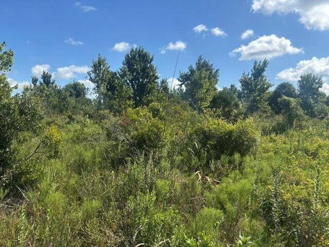 0 NW 312th Street, Okeechobee FL 34972