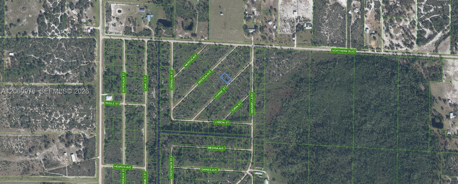 3451 Lake June, Lake Placid FL 33852