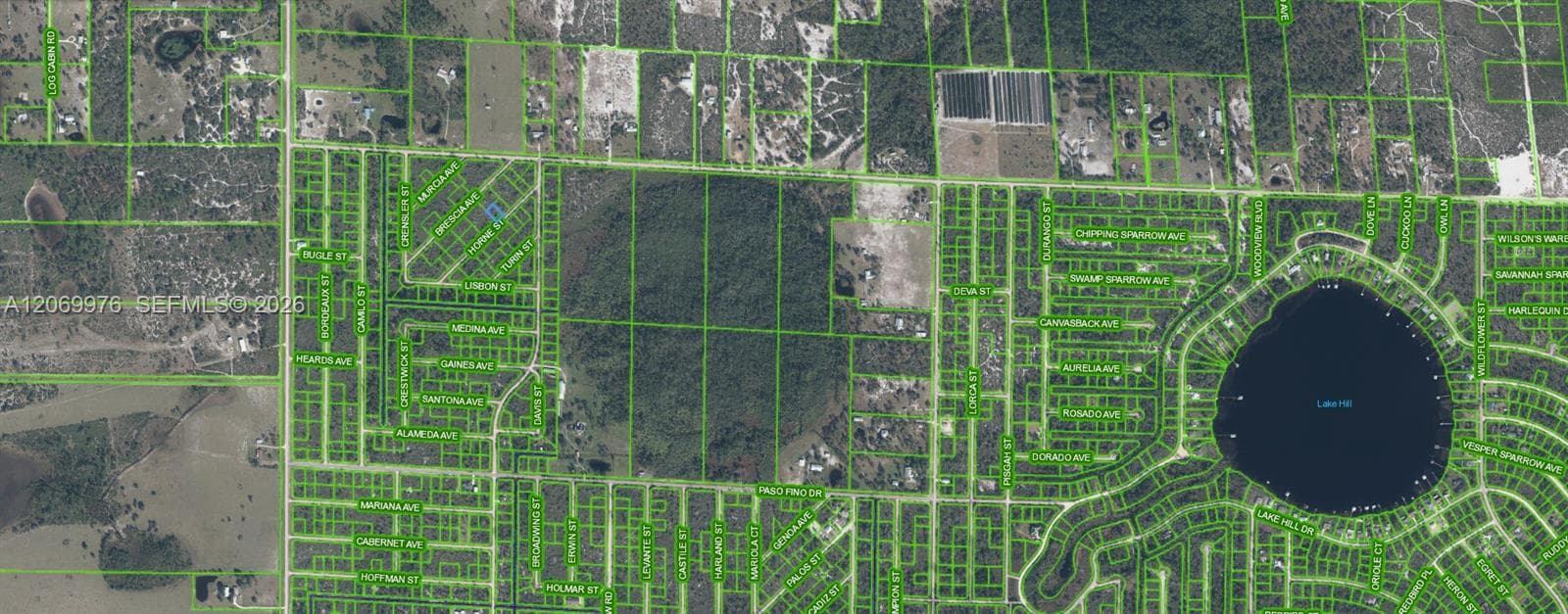 3451 Lake June, Lake Placid FL 33852