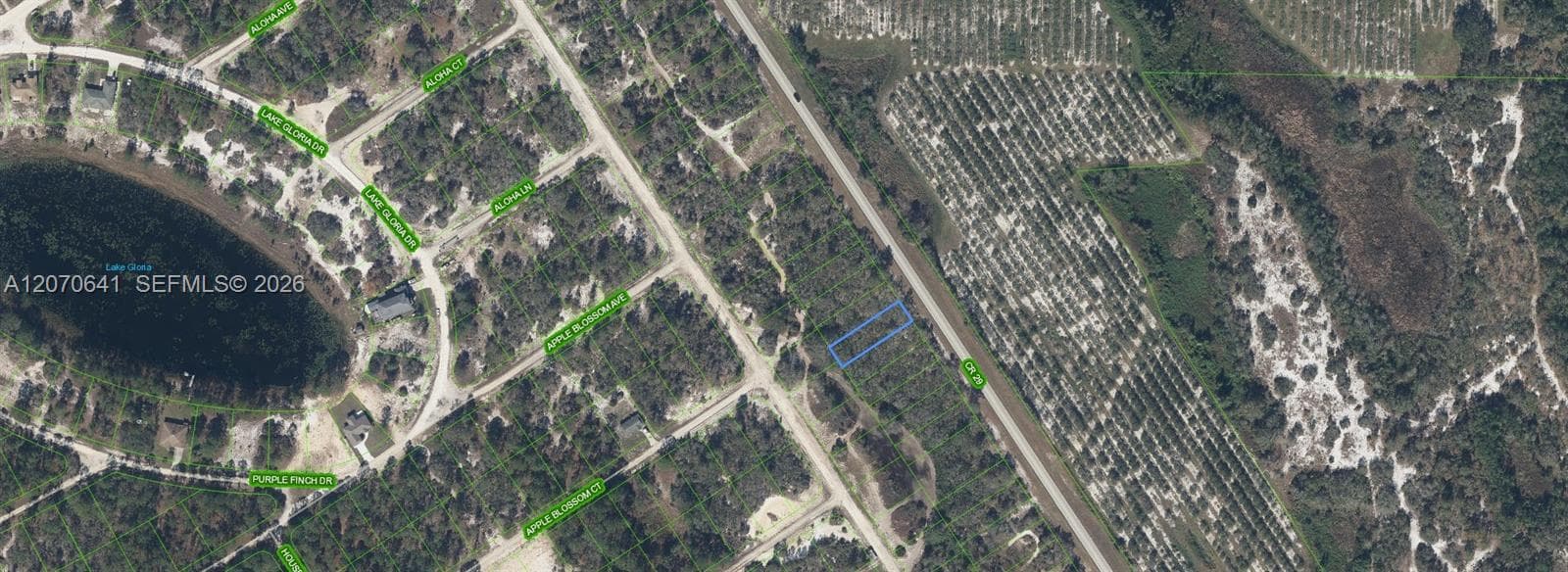 903 COUNTY ROAD 29, Lake Placid FL 33852