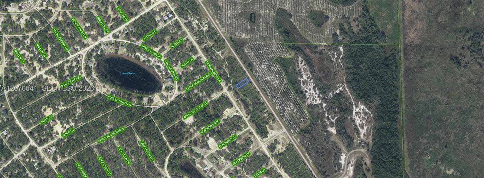 903 COUNTY ROAD 29, Lake Placid FL 33852