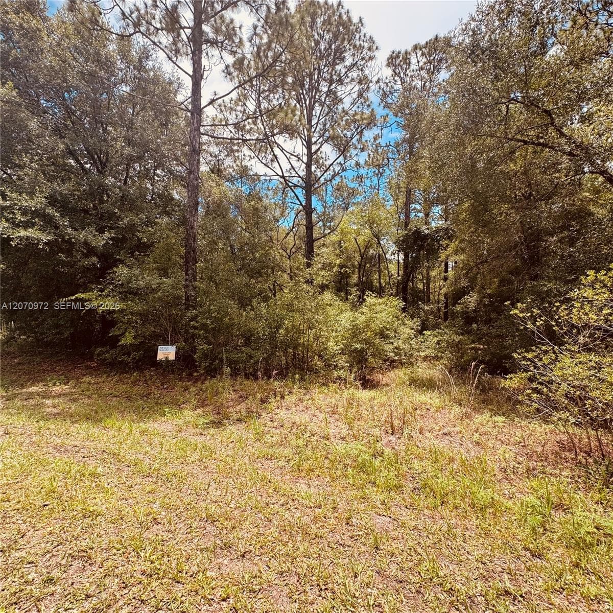 Undetermined SW 54 Street, Other City - In The State Of Florida FL 34431