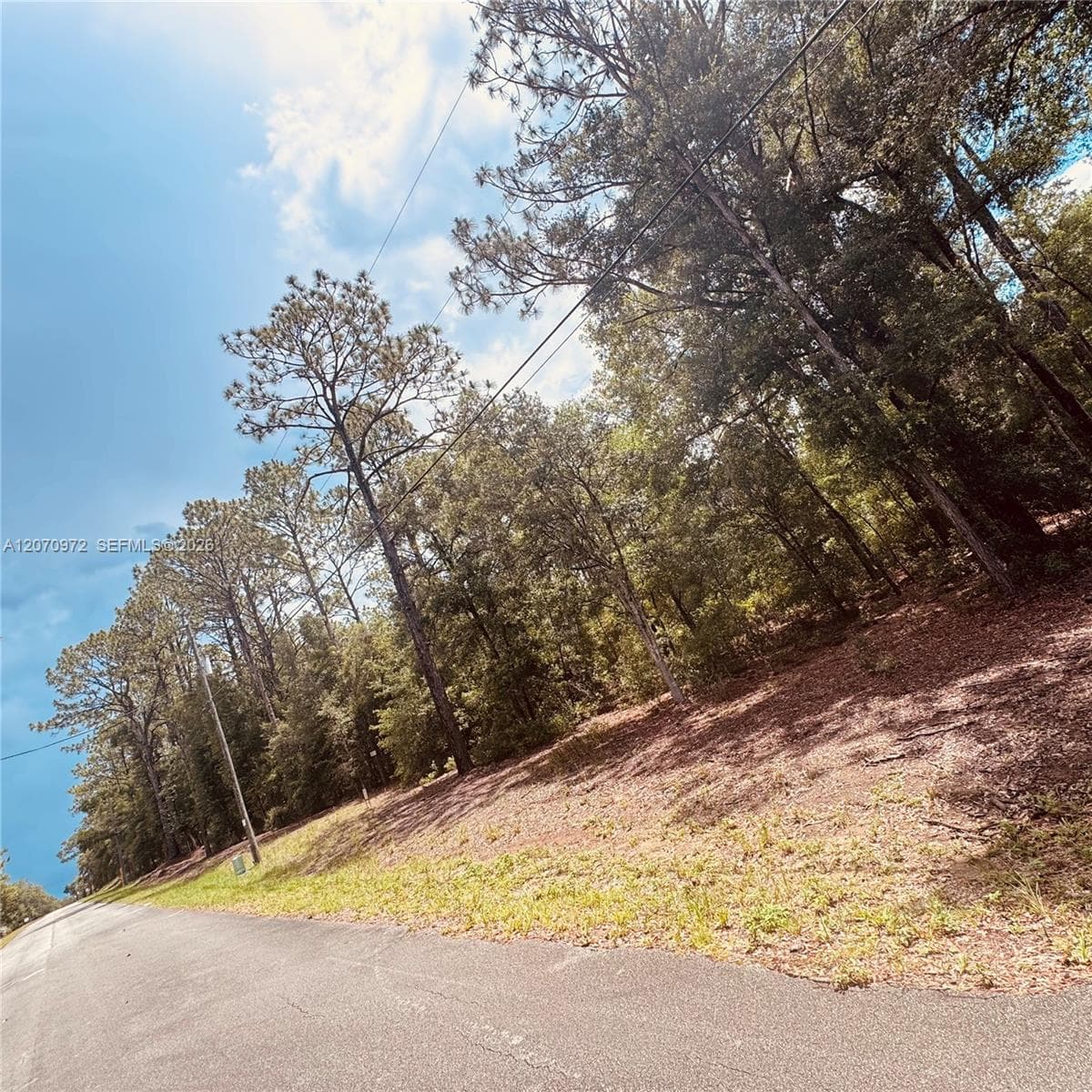 Undetermined SW 54 Street, Other City - In The State Of Florida FL 34431