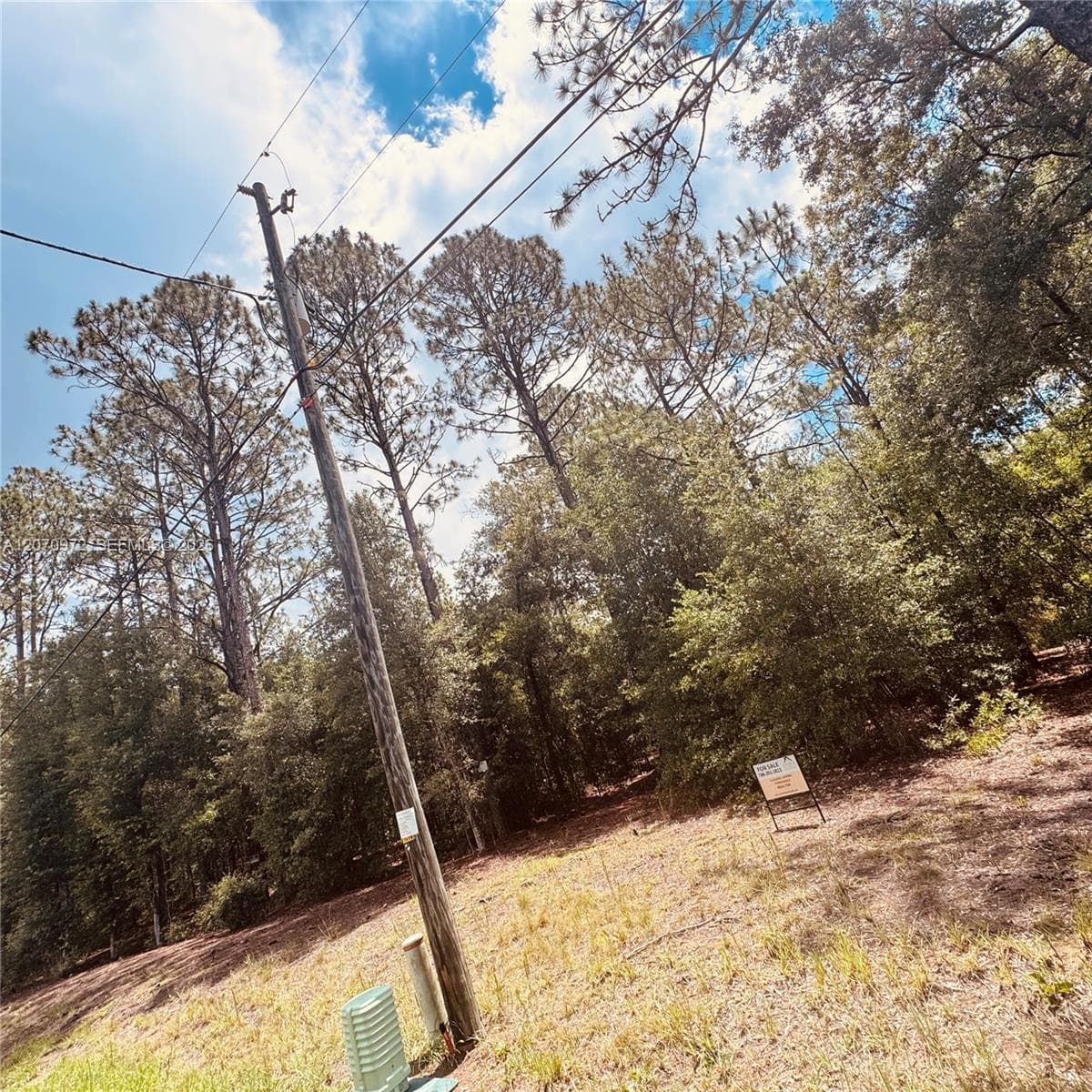 Undetermined SW 54 Street, Other City - In The State Of Florida FL 34431