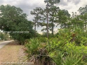 615 Wildflower Street, Lake Placid FL 33852