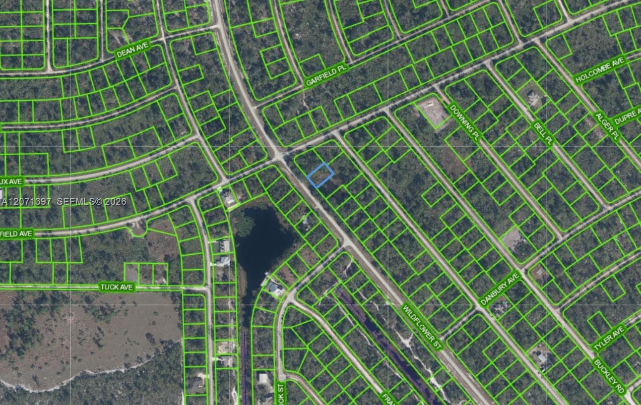 615 Wildflower Street, Lake Placid FL 33852