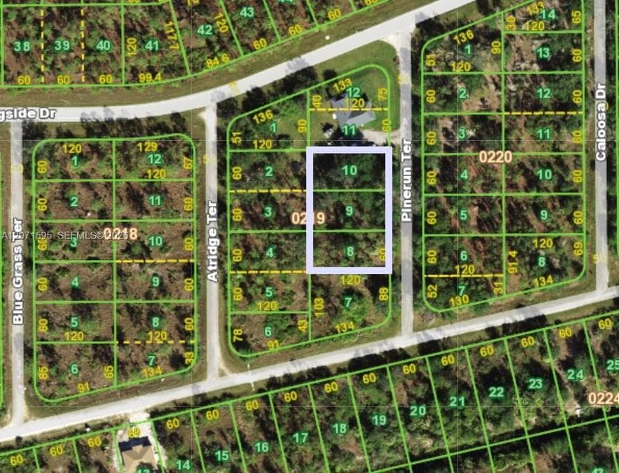 13263, 13269, 13275 Pinerun Terrace, Punta Gorda