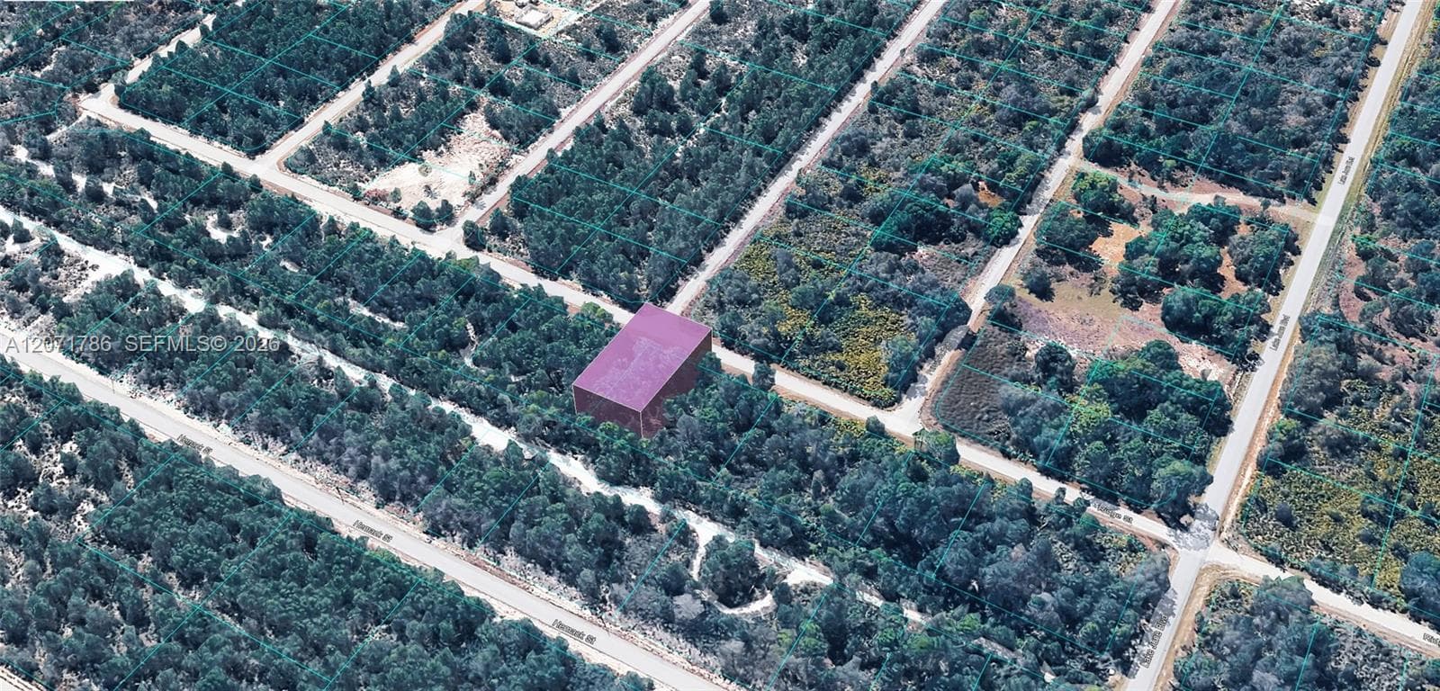 953 RIDGE ST, Lake Placid FL 33852