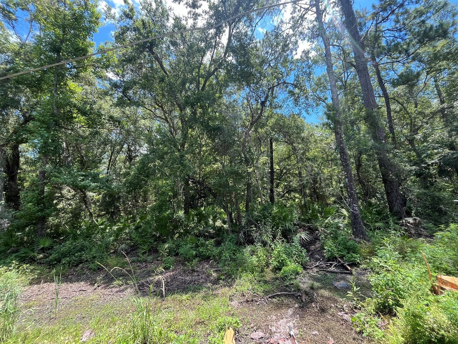 Tbd FRANKLIN Drive, FL 32327