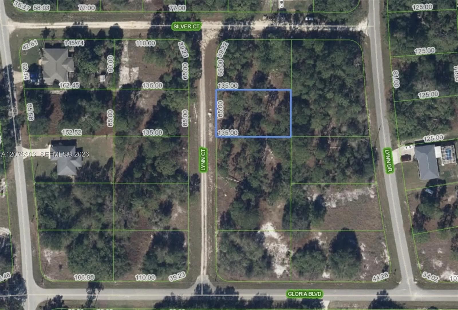 613 Lynn court, Lake Placid FL 33852