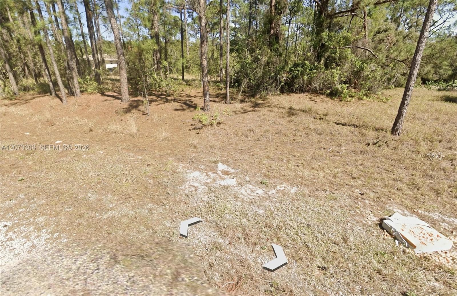 613 Lynn court, Lake Placid FL 33852