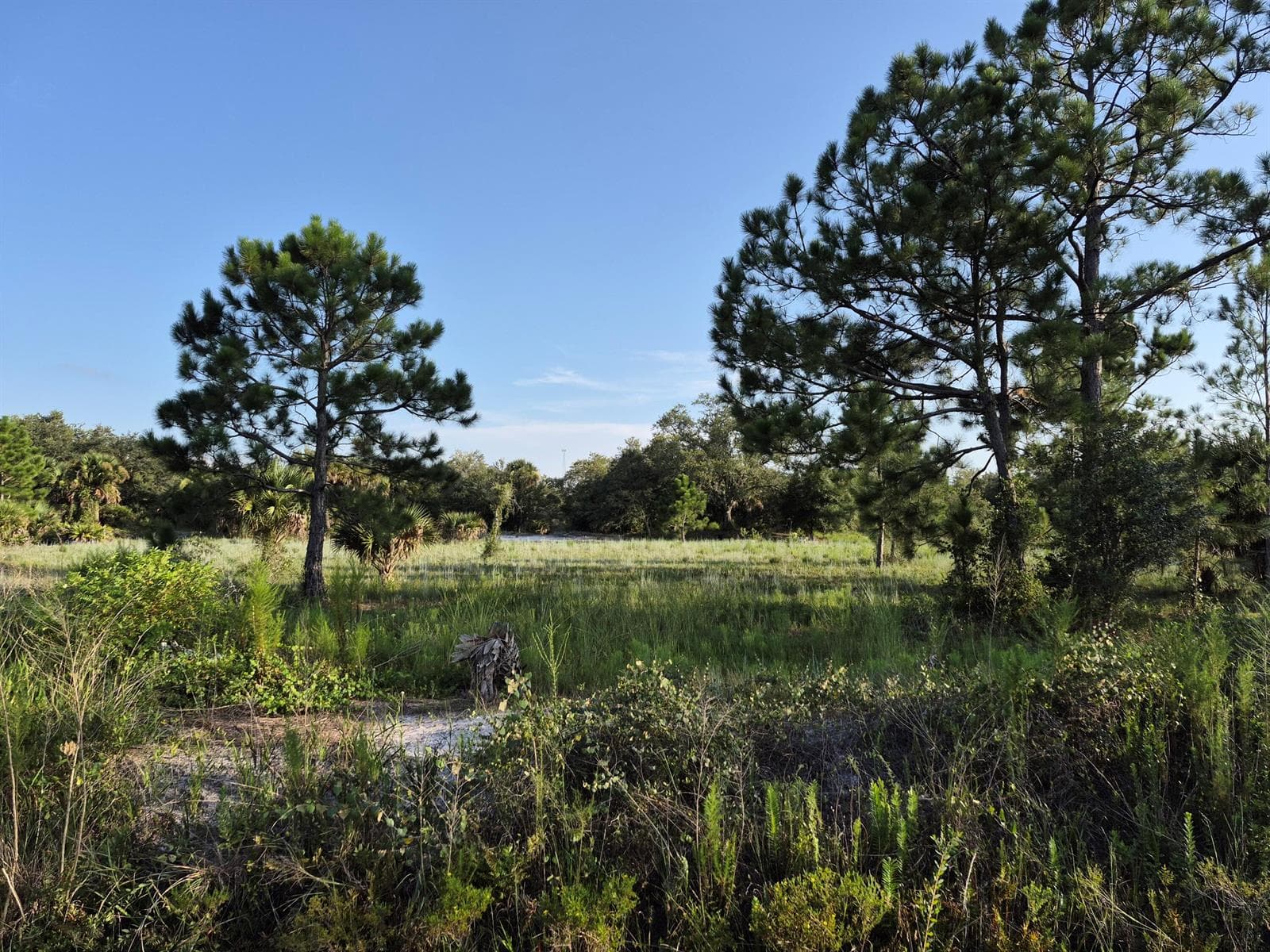 16810 NW 292ND Street, Okeechobee FL 34972