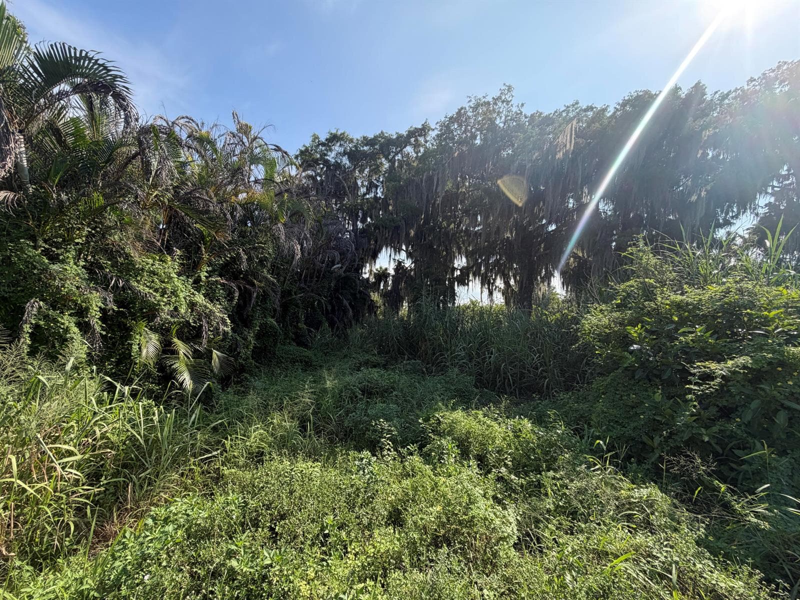 IMG_2719