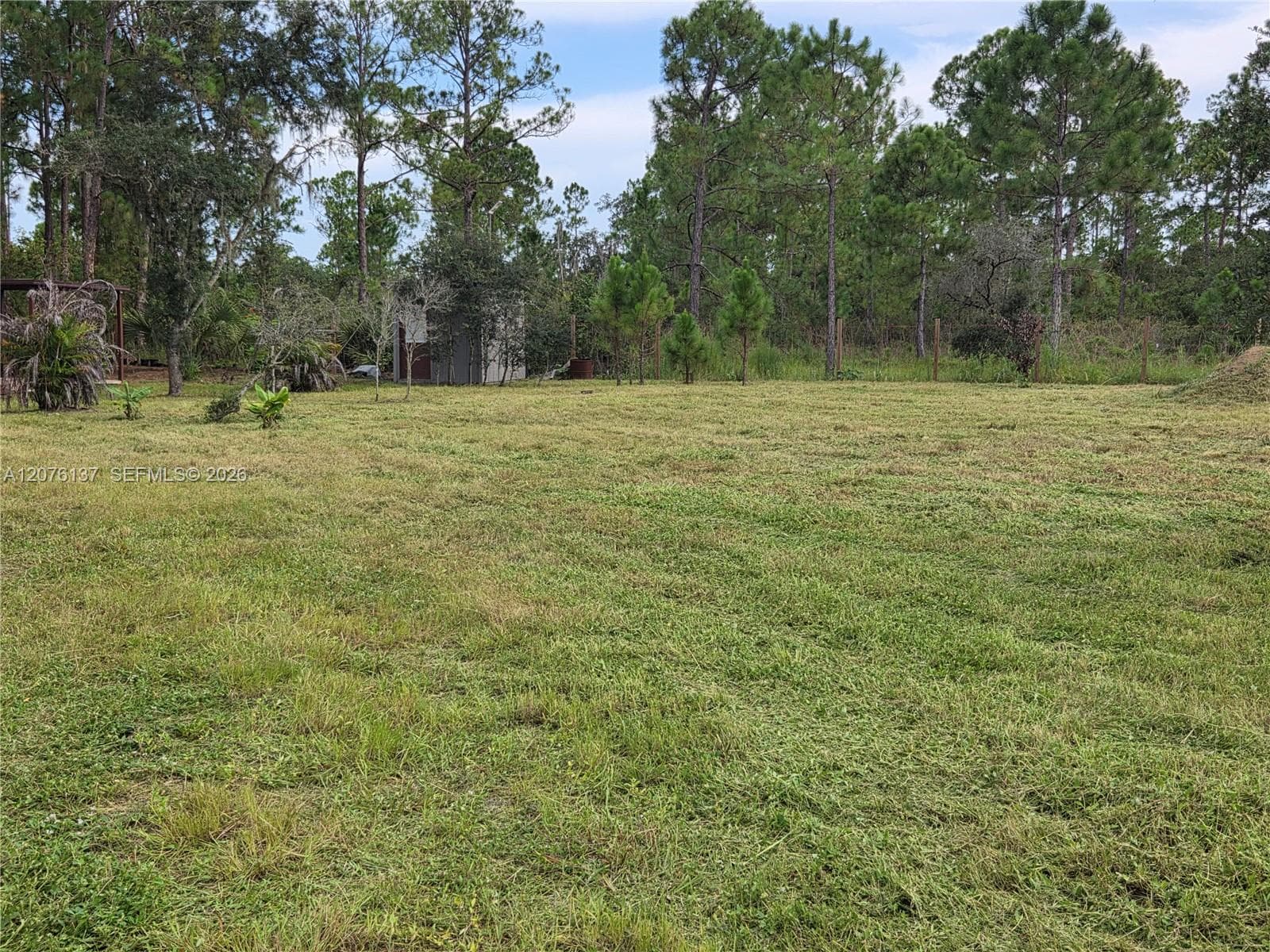 345 Rolling Hills Dr, Lake Placid FL 33852