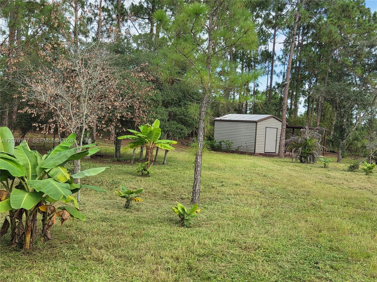 345 Rolling Hills Dr, Lake Placid FL 33852